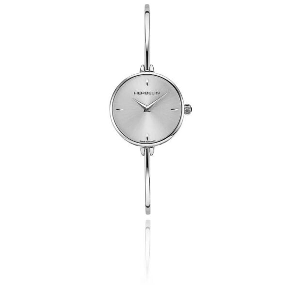 Montre dame herbelin: 17206B11
