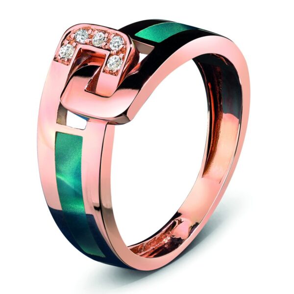 Bague en or et résine: Clozeau Ceinture C2F637DBR