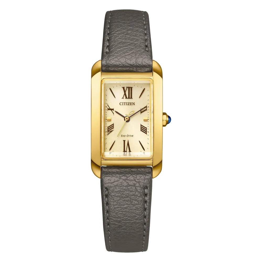 Montre femme Citizen: EW5622-09P