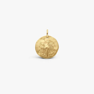 pendentif-medaille-vermeil-pissenlit-comedie-16-mm-a8398x0000-a-300x300